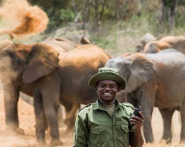 Staying Connected in the Wild: Navigating Internet and Connectivity on a Kenyan Safari